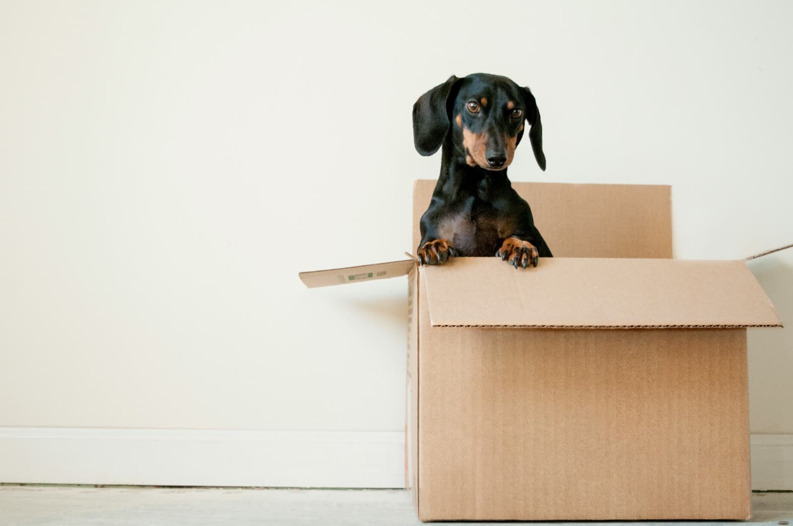 Movers carrying boxes near a moving truck (illustrative photo)